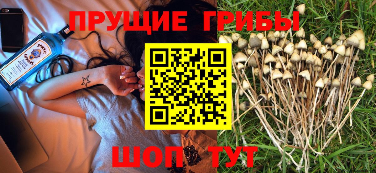 Канабис  Северск  MDMA  ГАШ  Cocaine  Конопля  КОКАИН  МЕФ кристаллы  Вход с VPN 